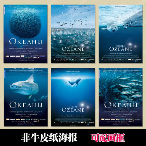 怎么买荷兰身份证